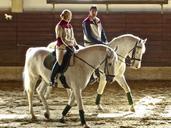 horses-pair-equestrian-together-600212.jpg