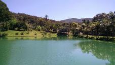 pond-nature-green-vegetation-613232.jpg