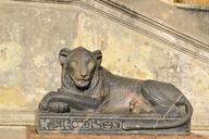 lion-rome-italy-vatican-statue-515865.jpg