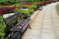 garden-square-bench-the-path-park-956819.jpg