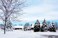 snowy-neighborhood-snowy-trees-snow-556708.jpg