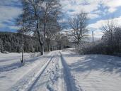 forest-winter-snow-away-645171.jpg