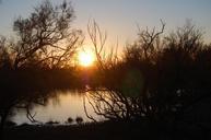 sunset-marsh-dark-914581.jpg