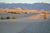 dunes-sand-death-valley-desert-1538599.jpg