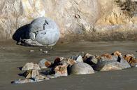 Moeraki_Boulders,_New_Zealand.jpg