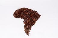 coffee-beans-coffee-the-drink-399476.jpg