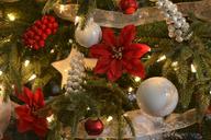 christmas-christmas-tree-ornaments-1442447.jpg