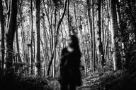 forest-darkness-dark-forest-1281259.jpg