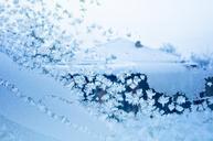 winter-frost-window-patterns-snow-315010.jpg