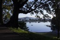 trees-park-estuary-island-path-963430.jpg