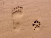 footprint-sand-footprints-beach-261337.jpg