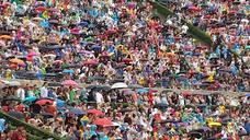 rain-screens-concert-audience-453172.jpg