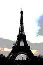 eiffel-tower-paris-france-europe-344886.jpg