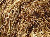 straw-straw-bales-eddy-wrapped-482491.jpg