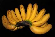 banana-ripe-banana-vitamins-fruit-314371.jpg