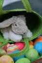 easter-easter-bunny-egg-colorful-491661.jpg