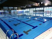 pool-sogese-pool-bologna-pool-562999.jpg