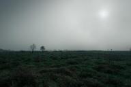 marsh-moor-flat-landscape-wet-690979.jpg