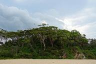 island-trees-tropical-landscape-562528.jpg