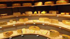 cheese-types-shop-netherlands-736827.jpg