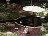 koi-pond-yamashiro-hollywood-701637.jpg