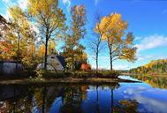 landscape-fall-nature-trees-birch-669619.jpg