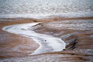 mud-flats-eb-tide-thames-estuary-uk-441528.jpg