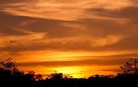 sunset-sky-clouds-orange-gold-645802.jpg