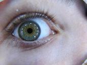 eye-macro-iris-pupil-217466.jpg