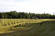 farm-hay-tractor-bale-945349.jpg