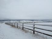 snow-fence-winter-cold-frost-1649682.jpg