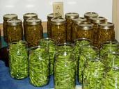 green-beans-canning-canned-food-631157.jpg