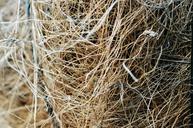 straw-texture-pattern-natural-735563.jpg