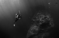 scuba-diver-diver-diving-underwater-569333.jpg