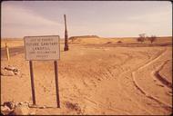 SAGUARO_CACTUS_IN_PEER_VALLEY,_SITE_OF_A_NEW_SANITARY_LANDFILL_-_NARA_-_544023.jpg