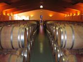 wine-keller-barrels-barrel-727796.jpg