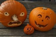 pumpkin-pumpkin-face-halloween-face-512108.jpg