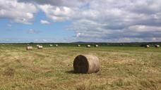 meadow-corn-sky-harvest-stacks-541094.jpg