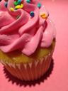 cupcake-dessert-sweet-sugar-bakery-495818.jpg