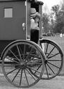 amish-indiana-buggy-farmland-732444.jpg