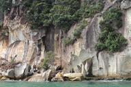 rock-new-zealand-sea-nature-1593030.jpg