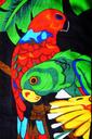 loris-birds-parrots-towel-461355.jpg