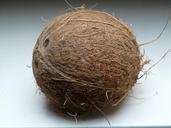 coconut-coconuts-exotic-sweet-palm-60392.jpg