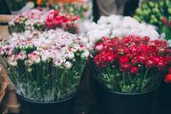 farmers-market-flowers-florist-1209712.jpg