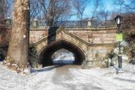 central-park-new-york-city-landmark-178381.jpg