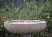 rain-rainfall-wet-splash-weather-645797.jpg