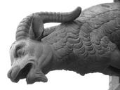 gargoyle-goat-billy-goat-51267.jpg