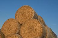 straw-stroballen-round-bales-578646.jpg