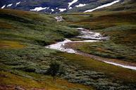 sweden-landscape-stream-water-85236.jpg