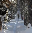 Cross-country_skiers_on_Roller_Coaster_Trail.jpg